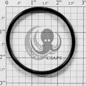 O Ring 2 alt